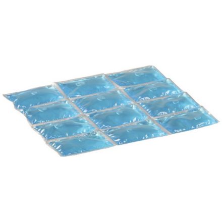 Campingaz 2000010674 ice pack